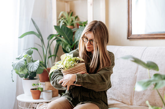 Summer indoor plant care tips