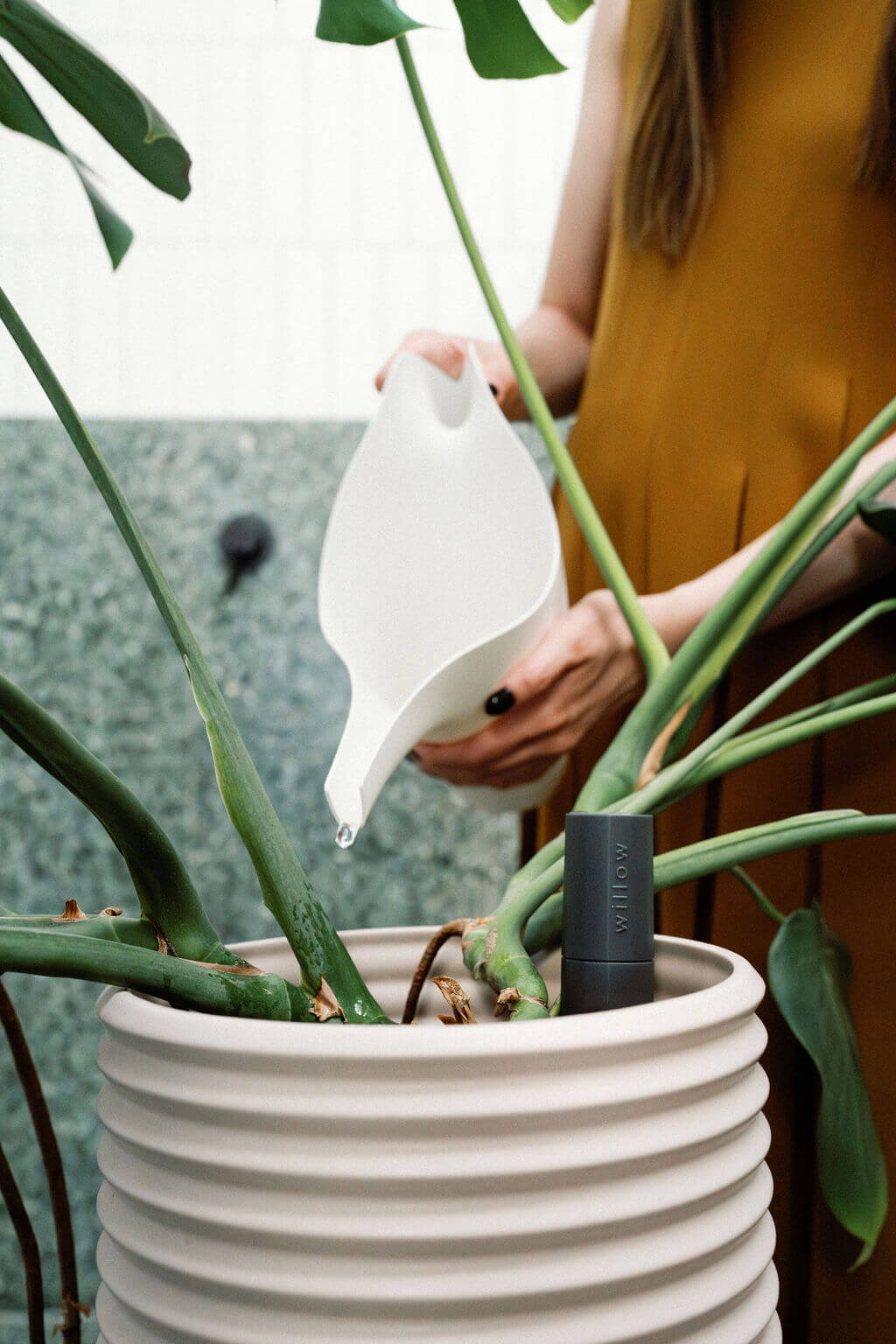 Willow Sensor