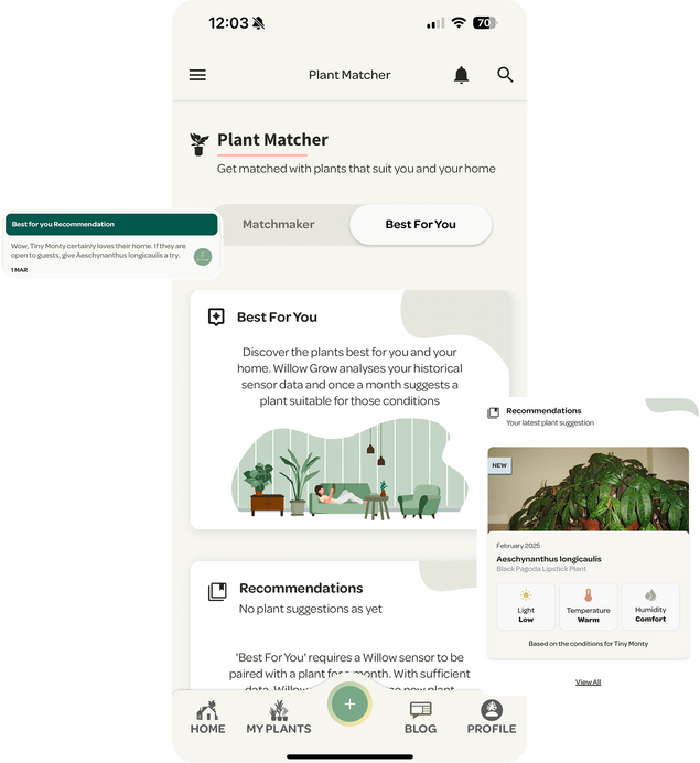 Willow Grow features