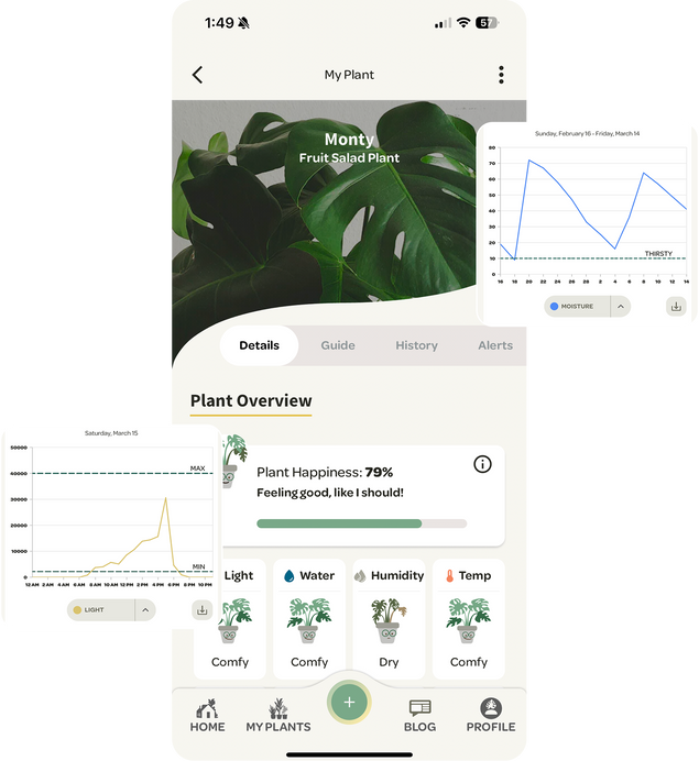 Willow Grow features