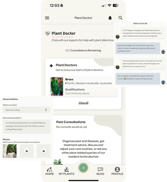 Willow Grow features