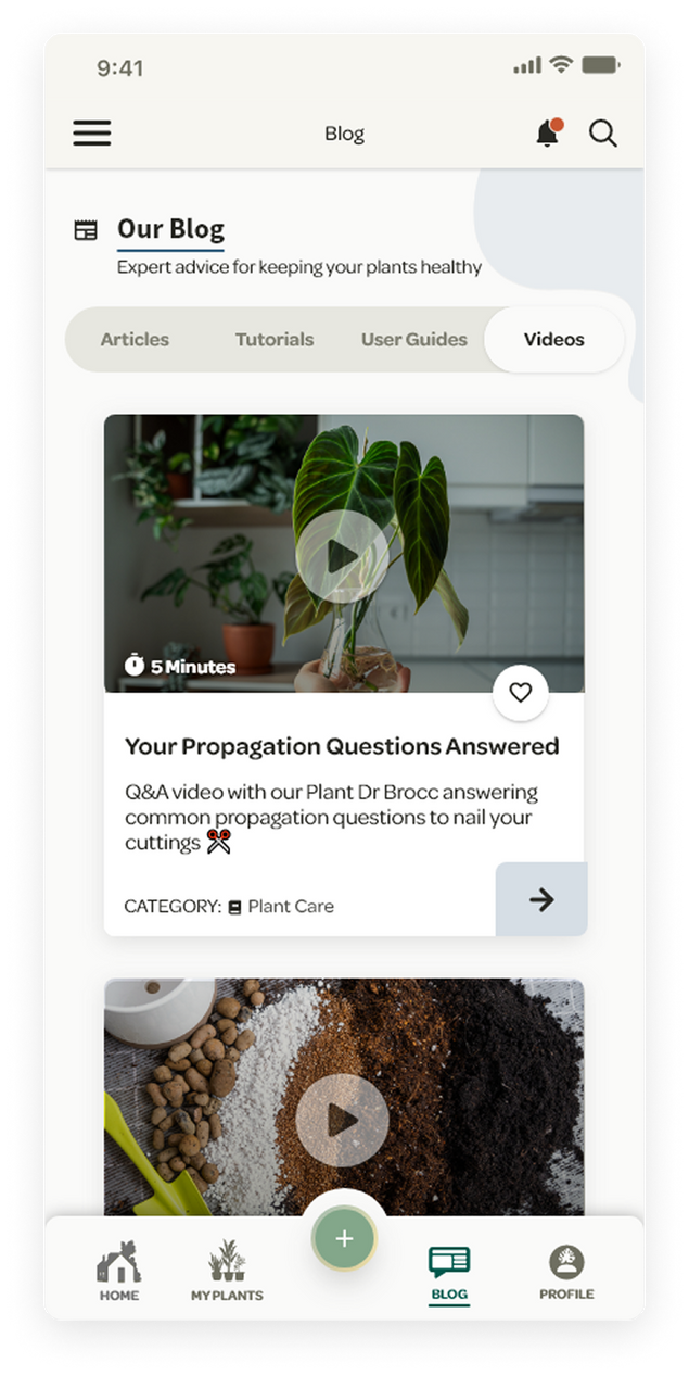 Willow app screenshot