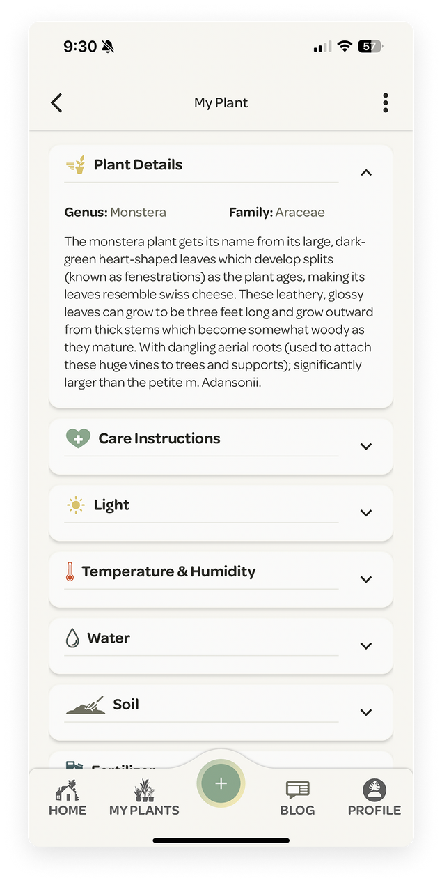 Willow app screenshot