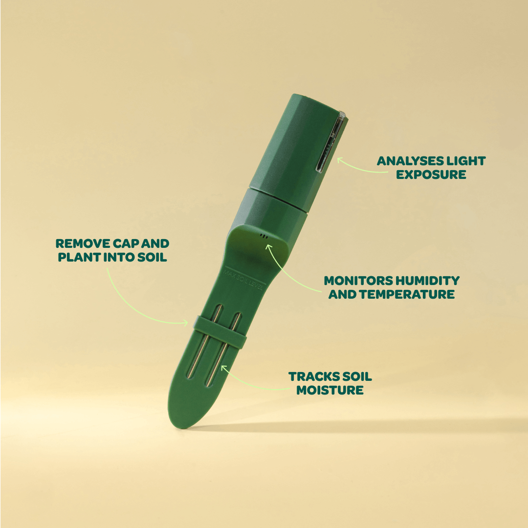 Willow Sensor measures soil moisture, light, temperature and humidity