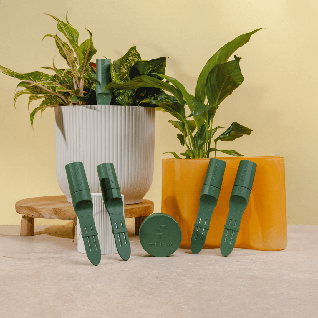 Moss Coloured Urban Jungle Pack