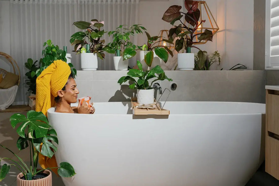 母の日に贈りたい植物ベスト10（枯らさない！育てやすい植物）