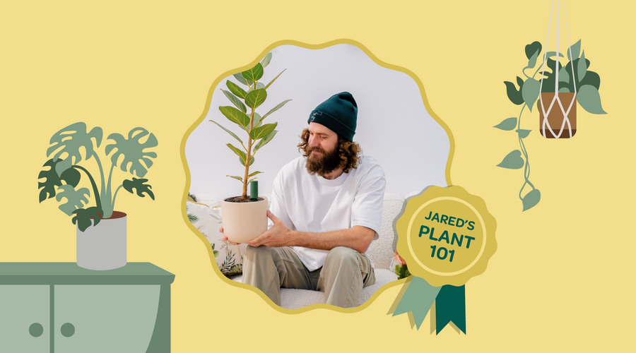 ジャレッドの植物101：植物のお世話に欠かせない基本知識