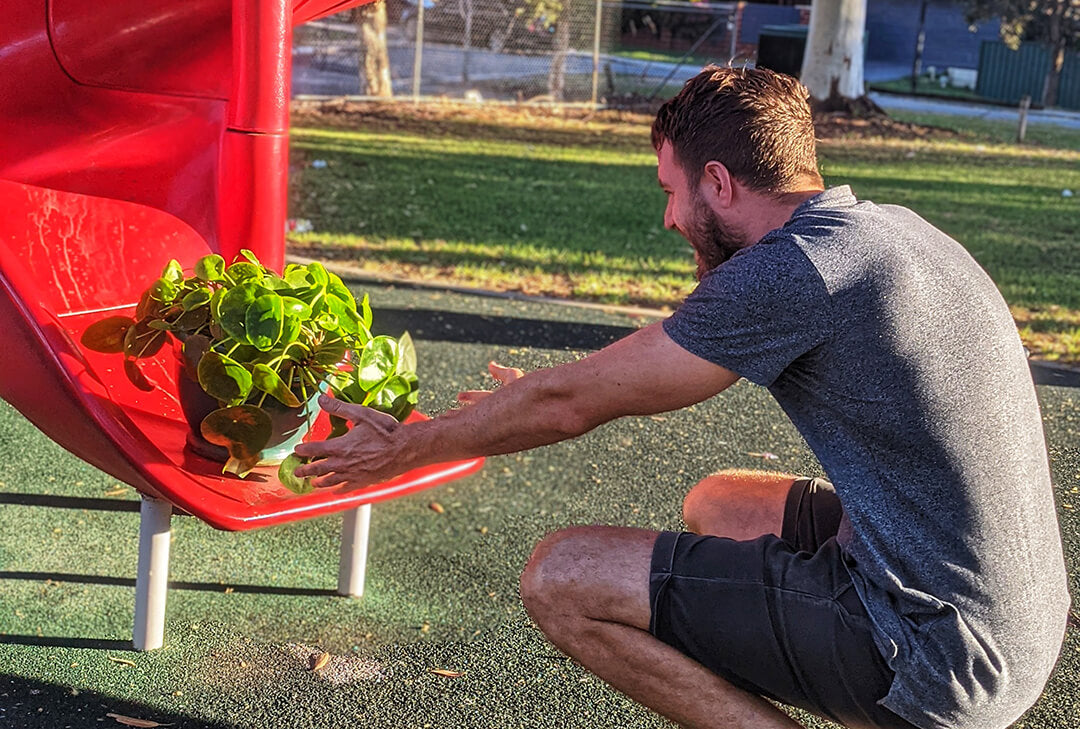 Keeping plants happy