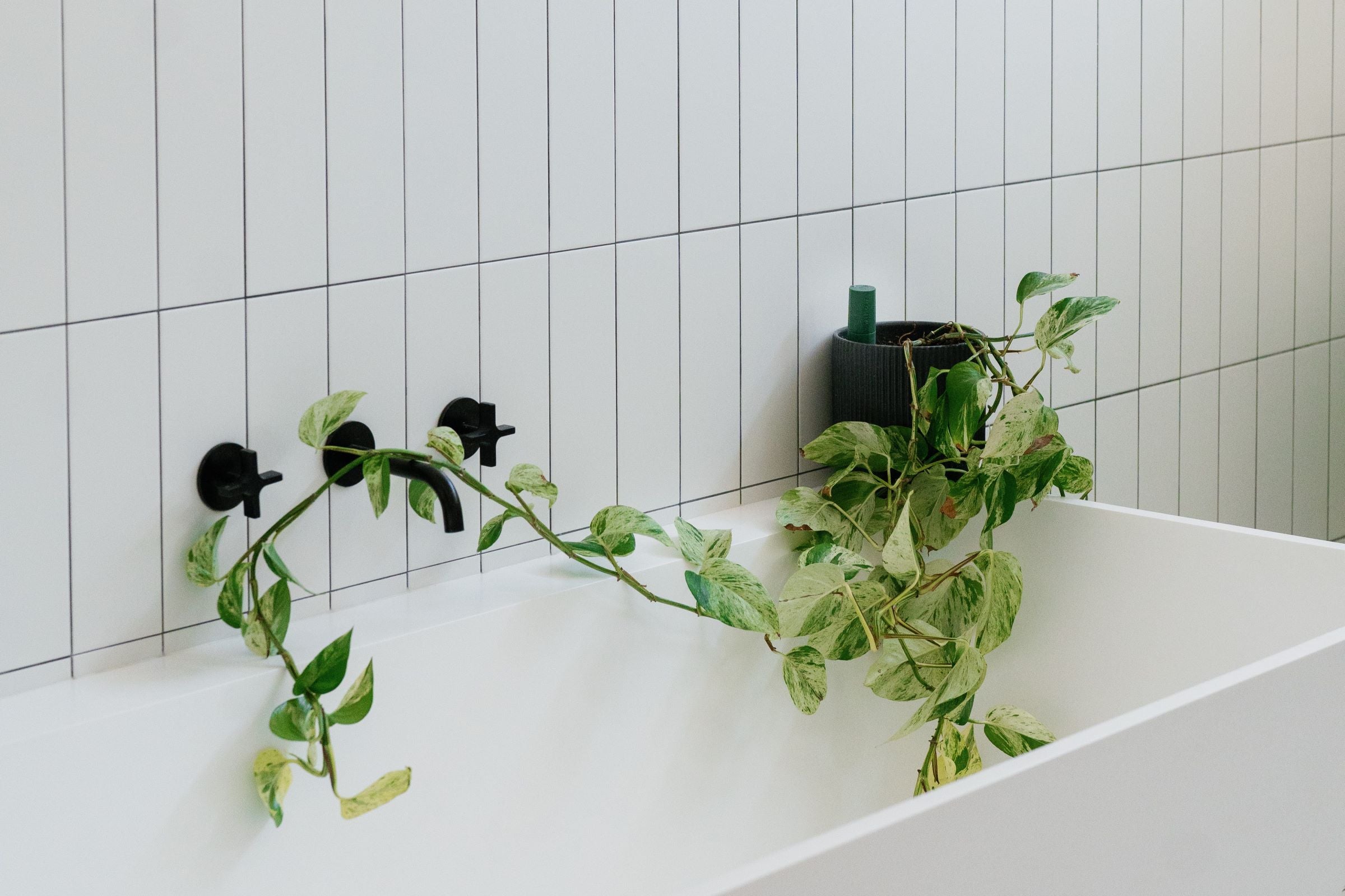 Willow smart plant sensor
