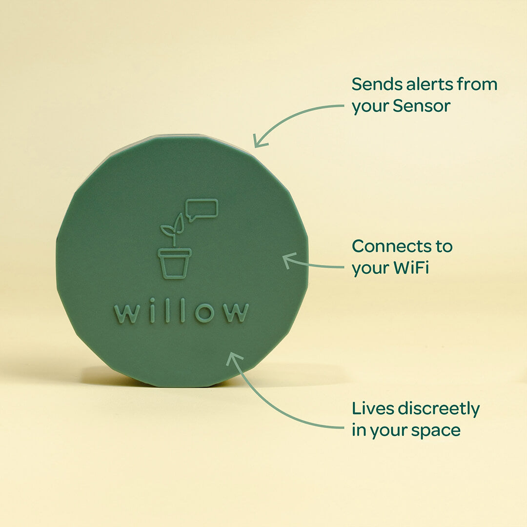 Willow Hub