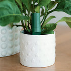 Willow Smart Indoor Plant Sensor